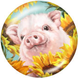20MM    Pig   Print   glass  snaps buttons