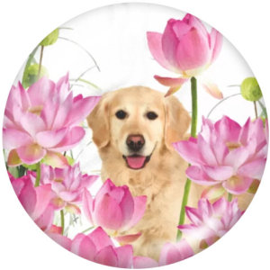 20MM  Flower   Dog   Print   glass  snaps buttons