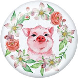 20MM    Pig   Print   glass  snaps buttons