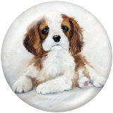 20MM  Dog   Print   glass  snaps buttons