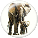 20MM  Elephant   Print   glass  snaps buttons