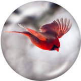 20MM   bird   Print   glass  snaps buttons