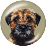 20MM  Dog   Print   glass  snaps buttons