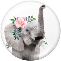 20MM  Elephant  Animal flower art Cat  Print   glass  snaps buttons