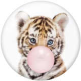 20MM    Elephant   Tiger   Print   glass  snaps buttons