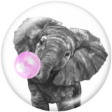 20MM    Elephant   Tiger   Print   glass  snaps buttons