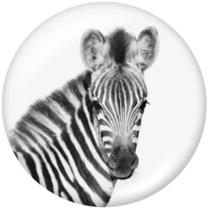 20MM   Fox  Tiger   Print   glass  snaps buttons