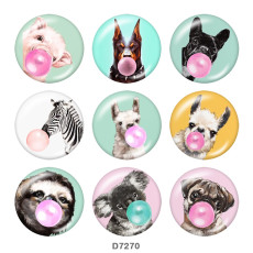 20MM   Dog  Print   glass  snaps buttons