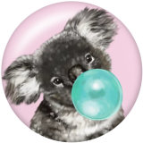 20MM   Dog  Print   glass  snaps buttons