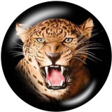 20MM   leopard  Tiger  Print   glass  snaps buttons