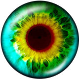 20MM   pattern  eye  Print   glass  snaps buttons