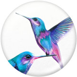 20MM   bird   Print   glass  snaps buttons