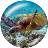 20MM   Sea  turtle  Print   glass  snaps buttons Beach Ocean