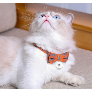 Pet Collar Bowknot Cat Collar Small and Medium-sized Dog Accessories Adjustable Pet Products fit  1 18&20MM snap buttom snap jewelry