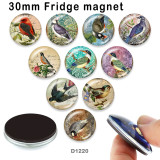 10pcs/lot   bird   glass picture printing products of various sizes  Fridge magnet cabochon