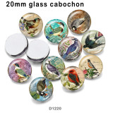 10pcs/lot   bird   glass picture printing products of various sizes  Fridge magnet cabochon