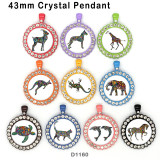 10pcs/lot  Cat  Elephant  Horse  glass picture printing products of various sizes  Fridge magnet cabochon