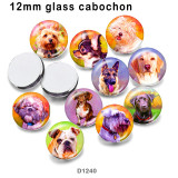 10pcs/lot   pet  dog  glass picture printing products of various sizes  Fridge magnet cabochon