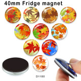 10pcs/lot   maple  leaves   glass picture printing products of various sizes  Fridge magnet cabochon