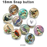 10pcs/lot   bird   glass picture printing products of various sizes  Fridge magnet cabochon