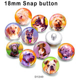 10pcs/lot   pet  dog  glass picture printing products of various sizes  Fridge magnet cabochon