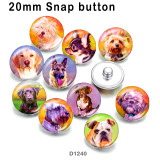 10pcs/lot   pet  dog  glass picture printing products of various sizes  Fridge magnet cabochon