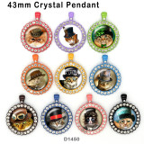 10pcs/lot   Cat  glass picture printing products of various sizes  Fridge magnet cabochon