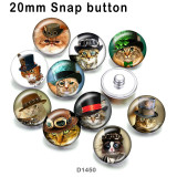 10pcs/lot   Cat  glass picture printing products of various sizes  Fridge magnet cabochon