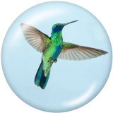 Painted metal 20mm snap buttons   bird   Print