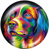 Painted metal 20mm snap buttons  Dog   Print