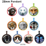 10pcs/lot  Cat  Wolf   Dog  glass picture printing products of various sizes  Fridge magnet cabochon