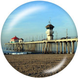 Painted metal 20mm snap buttons   Summer  Sea  turtle   Print Beach Ocean