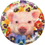 Painted metal 20mm snap buttons    Pig   Print