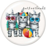 Painted metal Painted metal 20mm snap buttons  snap buttons   Cat  Print