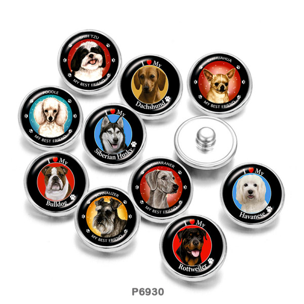 Painted metal 20mm snap buttons  Dog   Print