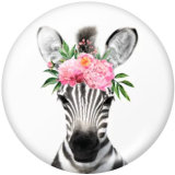 Painted metal 20mm snap buttons  Elephant  Animal flower art Cat  Print