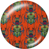 Painted metal 20mm snap buttons   Pattern   Print