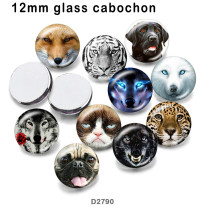 10pcs/lot  Cat  Wolf   Dog  glass picture printing products of various sizes  Fridge magnet cabochon