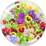 Painted metal 20mm snap buttons  Flower  Print
