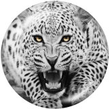 Painted metal 20mm snap buttons   leopard  Tiger  Print