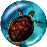 Painted metal 20mm snap buttons   Sea  turtle  Print Beach Ocean