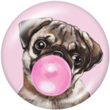 Painted metal 20mm snap buttons   Dog  Print