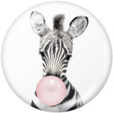 Painted metal 20mm snap buttons    Elephant   Tiger   Print