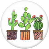 Painted metal Painted metal 20mm snap buttons  snap buttons  Cactus  Print