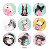 Painted metal 20mm snap buttons   Dog  Print