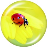 Painted metal 20mm snap buttons  insect  Print