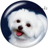 Painted metal Painted metal 20mm snap buttons  snap buttons   Dog   Print