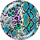 Painted metal 20mm snap buttons   multicolor Leopard   Pattern   Print