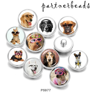 Painted metal Painted metal 20mm snap buttons  snap buttons  Dog  Cat  Print