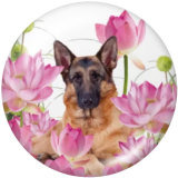 Painted metal 20mm snap buttons  Flower   Dog   Print